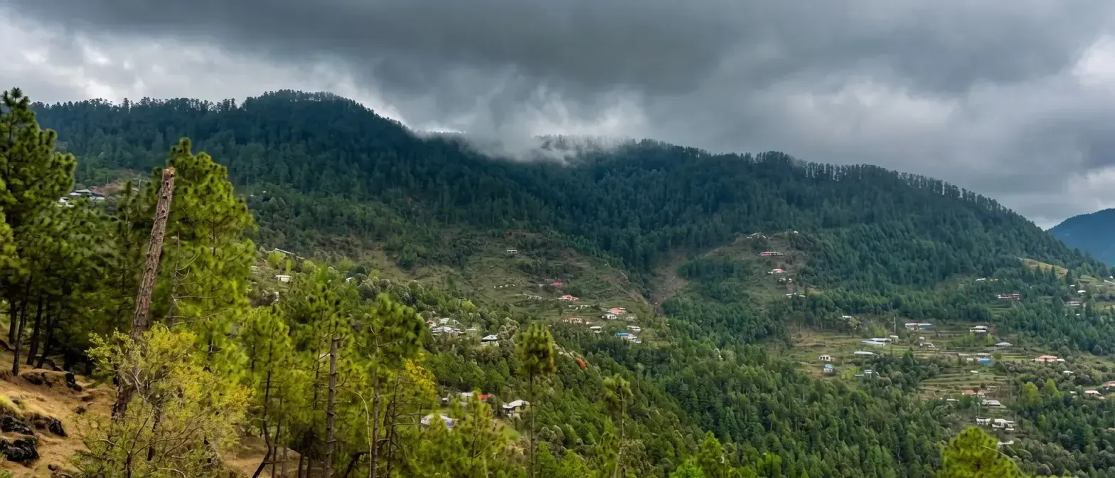 Green Punjab landscape on a private Changa Manga tour from Lahore